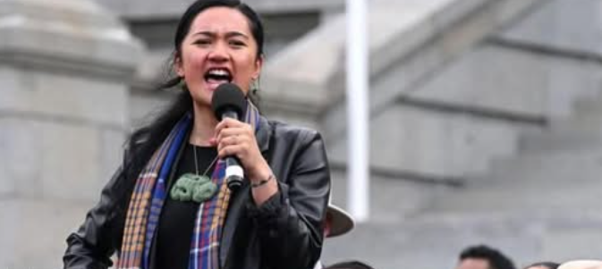 New Zealand Parliament Suspends Māori MPs Over Protest Haka Amid Controversial Treaty Bill Debate
